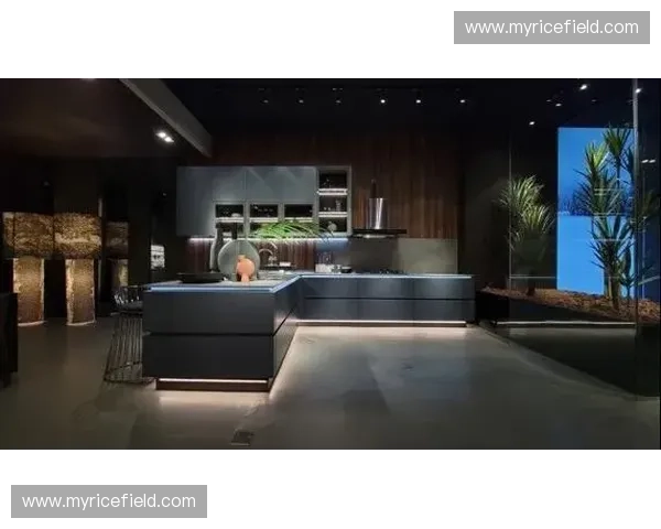 博洛尼橱柜价格解析及不同系列配置费用全面介绍与选购注意事项